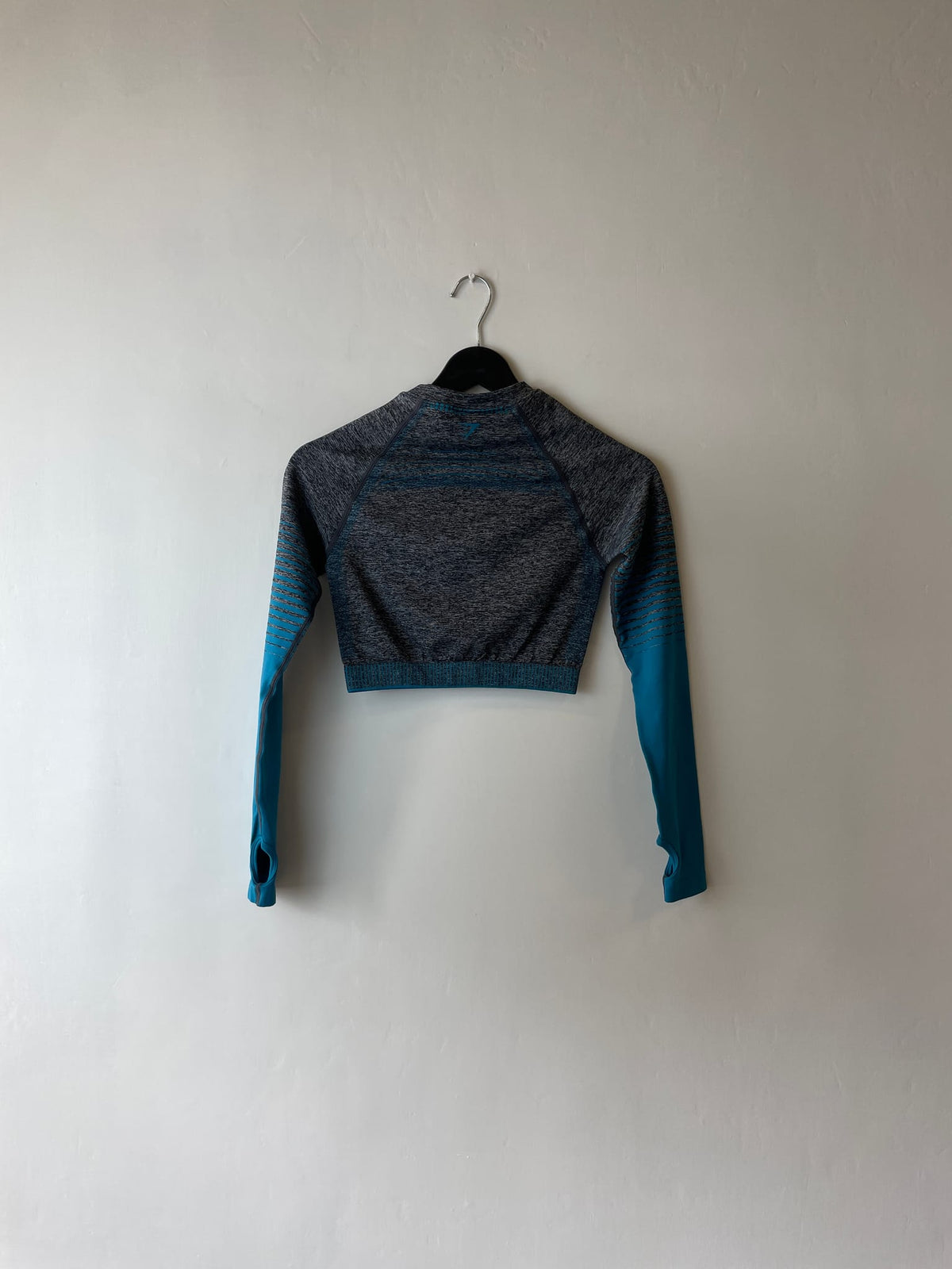 Gymshark Adapt Ombre Seamless Long Sleeve Crop Top